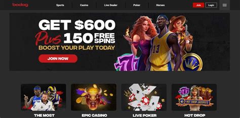 bodog casino bonus|Bodog Casino Bonus .
